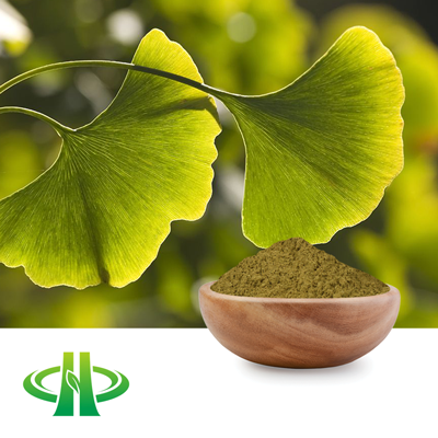 Ginkgo Biloba Powder by Shandong Zhongmin