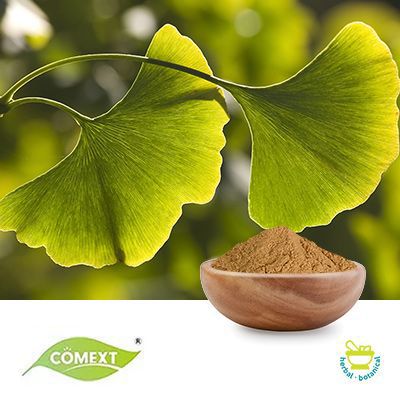 Ginkgo Biloba Extract 10:1 by Comext