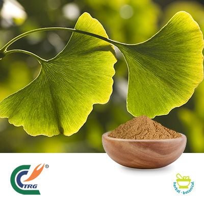 Ginkgo Biloba Leaf Extract 10:1 by Hanzhong TRG