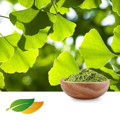 Ginkgo Biloba Powder by Shandong Lirun Health Technology Co; Ltd