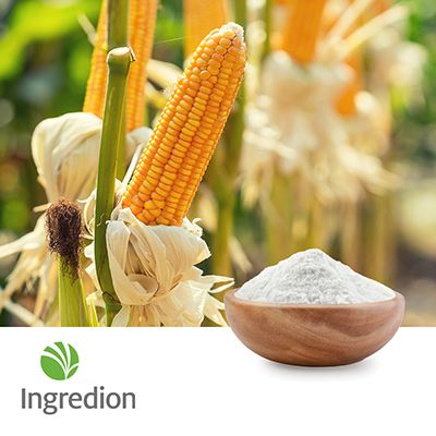 GLOBE® Plus 10 DE Maltodextrin by Ingredion Canada Corporation