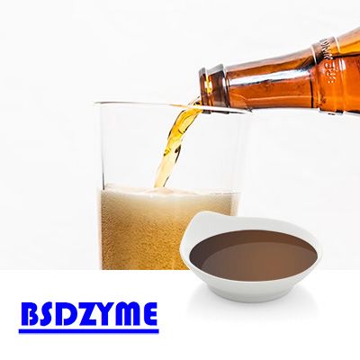 Glucoamylase by Jiangyin BSDZYME Bio-engineering Co., Ltd.
