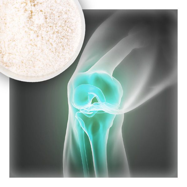 Glucosamine HCL DC by Rixing