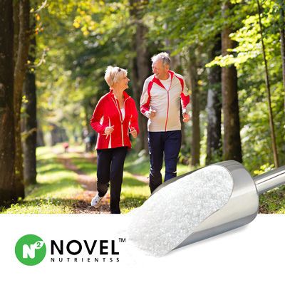 Glucosamine Sulphate 2 KCl 40 Mesh by Novel Nutrientss