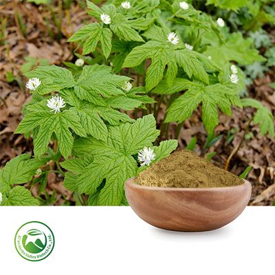 Goldenseal Root Extract 10:1 by Xi'an Herbs Valley