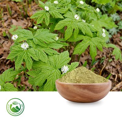 Goldenseal Root Powder by Xi'an Herbs Valley