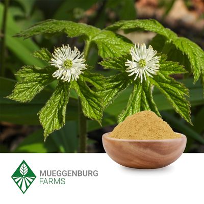 Goldenseal Root, Powder by Mueggenburg USA