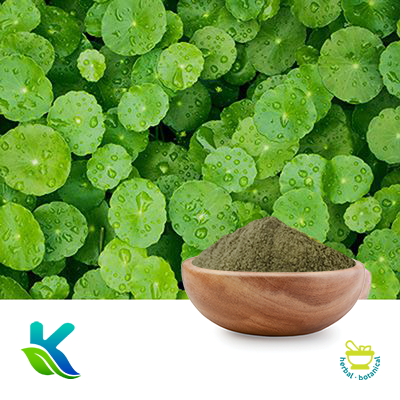 Gotu Kola Powder by Hunan Naturext
