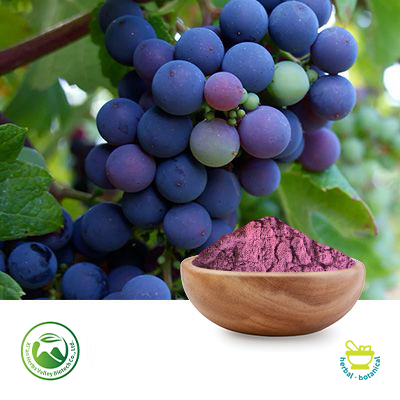 Grape Fruit Powder by Xi'an Herbs Valley