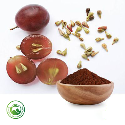 Grape Seed Extract 10:1 by Xi'an Herbs Valley