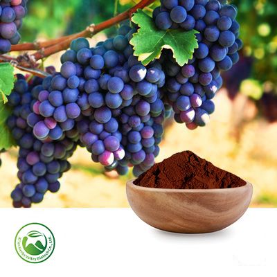 Grape Seed Extract Procyanidine (Proanthocyanidins)≥95% by Xi'an Herbs Valley