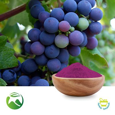 Grape Fruit Powder by Xi'an Herbs Valley