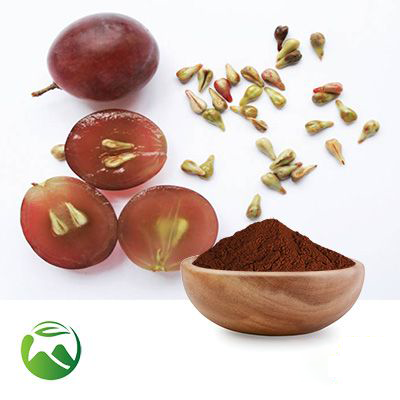 Grape Seed Extract 10:1 by Xi'an Herbs Valley