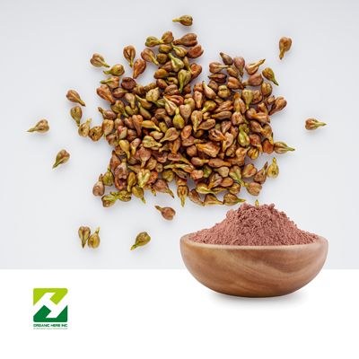 Grape Seed Extract 95% Proanthocyanidins by Organic Herb Inc