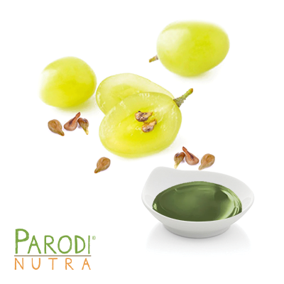 Grapeseed Oil Refined by Parodi Nutra SRL