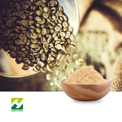 Green Coffee Bean Extract 10:1 by Organic Herb Inc