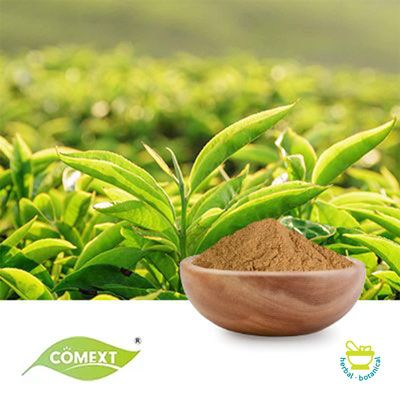 Organic Green Tea Extract 10:1 by Comext