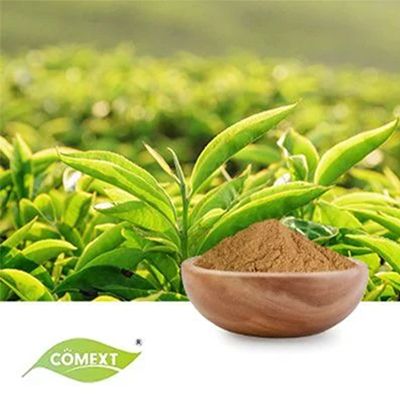 Green Tea Extract 10:1  by Comext