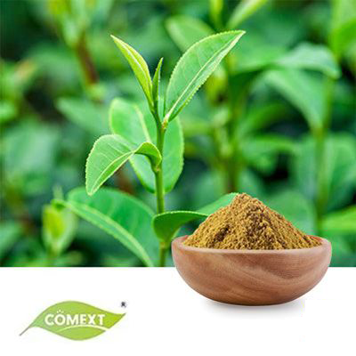 Green Tea Extract 50% EGCG by Comext