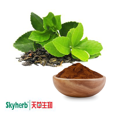 Green Tea Extract 50% EGCG by Skyherb