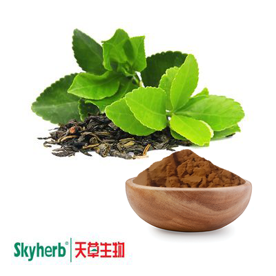 Green Tea Extract 60% Polyphenols by Skyherb
