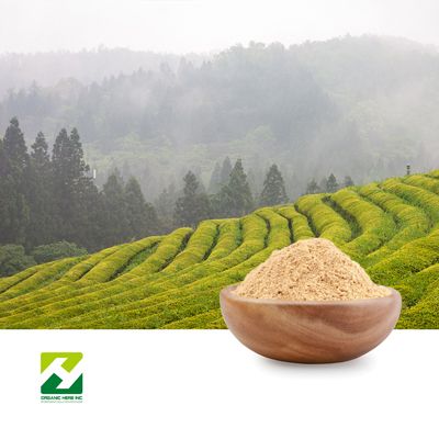 Green Tea Extract 98% Polyphenols 80% Catechins 50% EGCG 1% Caffeine by Organic Herb Inc