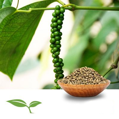 Green Peppercorn (Whole, Organic) by American Botanicals