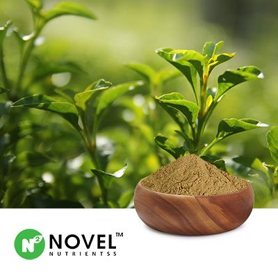 Green Tea Extract 40% Caffeine by HPLC by Novel Nutrientss
