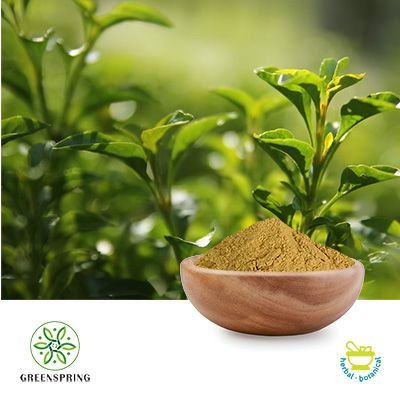 Green Tea Extract Polyphenols 95% (UV) by Green Spring