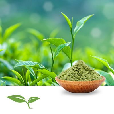 Green Tea Powder by American Botanicals