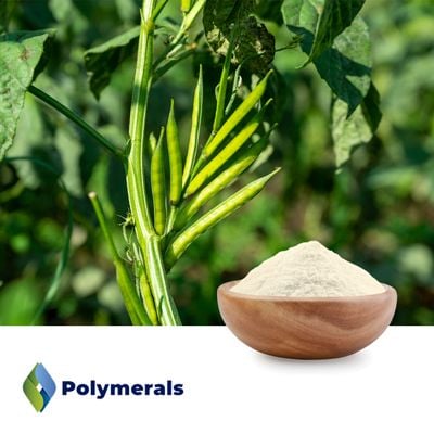 Guar Gum Powder 200 US by Polymerals