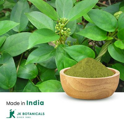 Gymnema Sylvestre Extract 25% Gymnemic Acid by Gravimetry by JK Botanicals