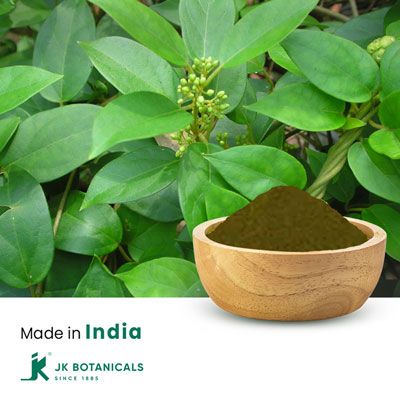 Gymnema Sylvestre Extract 75% Gymnemic Acid by Gravimetry by JK Botanicals