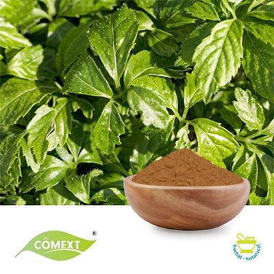 Gynostemma Pentaphyllum Extract 50:1 by Comext