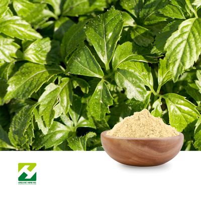 Gynostemma Pentaphyllum Extract 10:1 by Organic Herb Inc