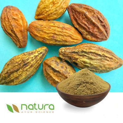 Harda Powder Extract 40% Tannins by Titration by Natura Ayur Science