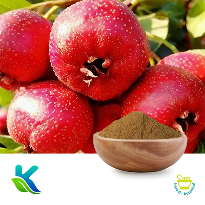 Hawthorn Berry Extract 10:1 by Hunan Naturext