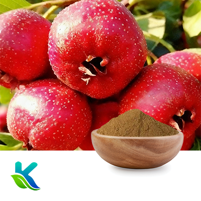 Hawthorn Berry Extract 10:1 by Hunan Naturext