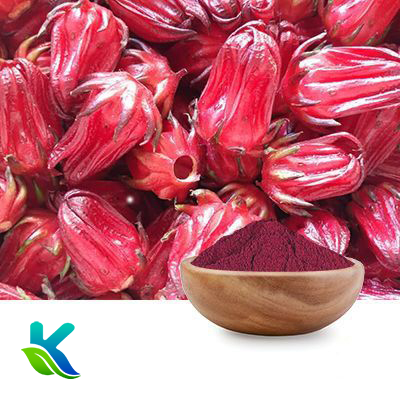 Hibiscus Flower Extract 10:1 by Hunan Naturext