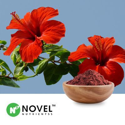 Hibiscus Powder (Steam Sterilized) by Novel Nutrientss