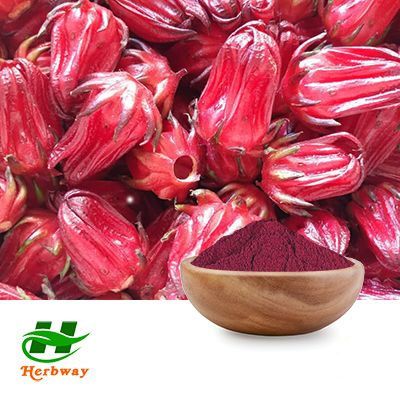 Hibiscus Flower Extract 10:1 by Changsha Herbway