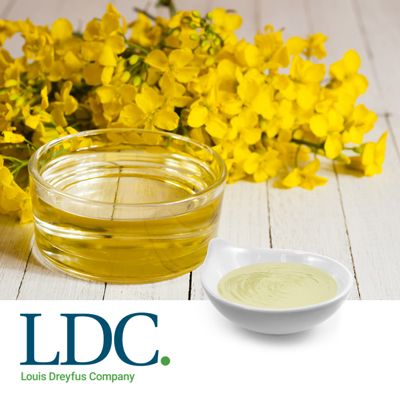 GM Canola Oil - High Oleic Low Linolenic  (RBD) by Louis Dreyfus Company