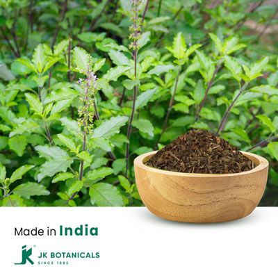 Holy Basil Leaves Cut (C S 5-8 MM) Steam Treated by JK Botanicals