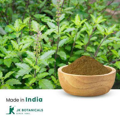 Holy Basil Leaves Powder Steam Treated by JK Botanicals