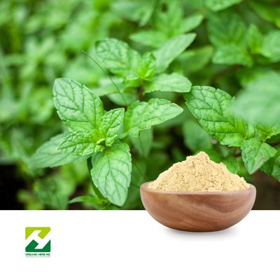 Holy Basil Extract 2.5% Ursolic Acid by Organic Herb Inc