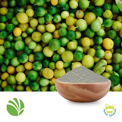 HOMECRAFT® Pulse 3103 Faba Bean Flour by Ingredion Plant Based Protein Specialties(Canada), Inc