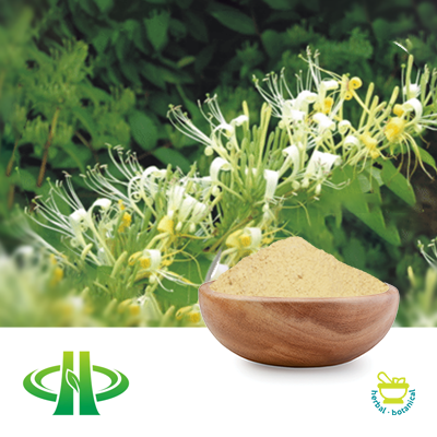 Honeysuckle Extract 10% Chlorogenic acid by HPLC by Shandong Zhongmin
