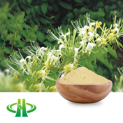 Honeysuckle Extract 10% Chlorogenic acid by HPLC by Shandong Zhongmin