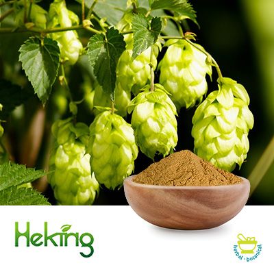 Hops Extract 10:1 by Heking