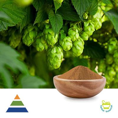 Hops Extract Flavones 8% by KS Nutripharma